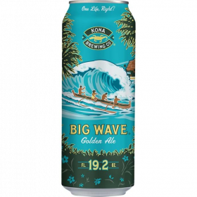 Big wave 19 oz